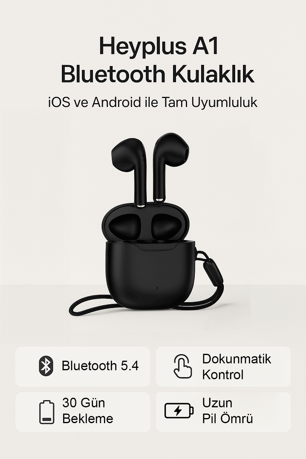 a1 s1